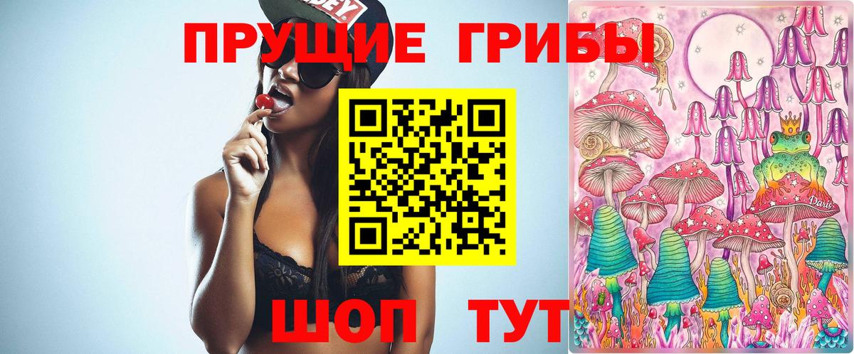 Псилоцибиновые грибы MAGIC MUSHROOMS  Галлюциногенные грибы Psilocybe  Вход с VPN  продажа наркотиков  Пенза 