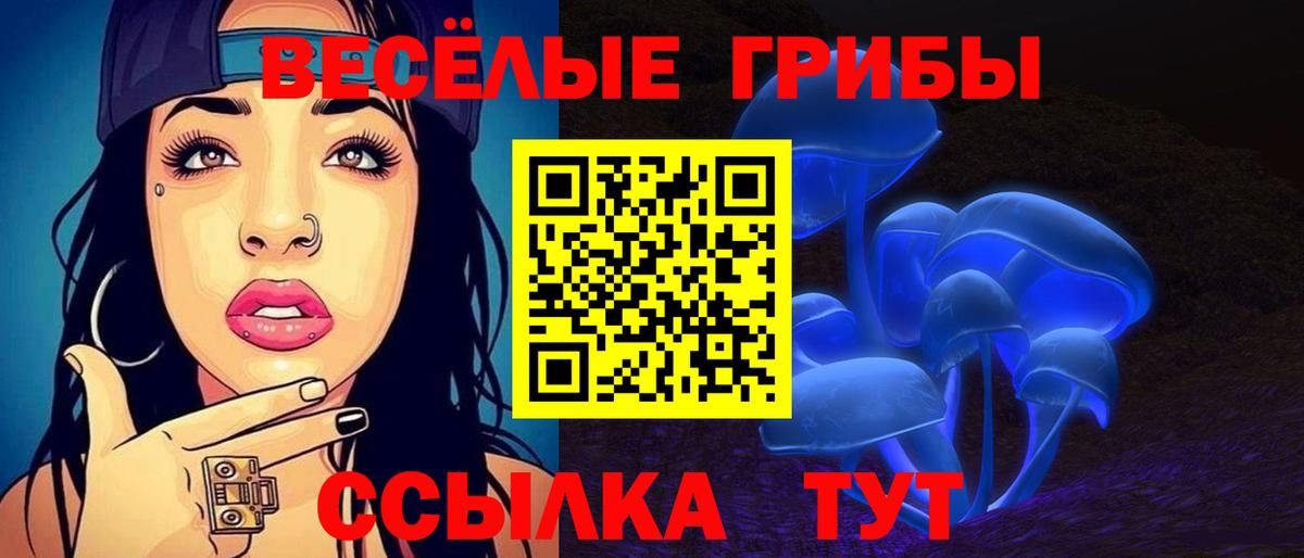 Галлюциногенные грибы Cubensis Пенза